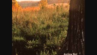 Andrew Bird  Tenuousness [upl. by Driscoll]