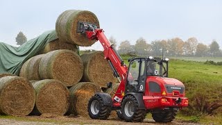 Weidemann – Teleskopradlader 4080LPT Einsatz in der Landwirtschaft [upl. by Neelrac583]