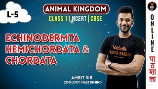 Echinodermata Hemichordata and Chordata  Animal Kingdom CBSE Class 11 Biology Chapter 4NEET 2020 [upl. by Coates]