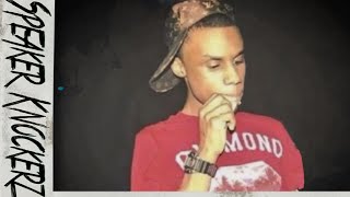 The REAL Speaker Knockerz Story Documentary [upl. by Abie]