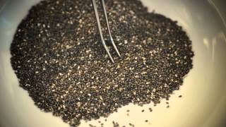 Whats really in your Chia seeds We show you with another leading brand [upl. by Eillak]