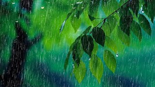 Torrential Rain and Intense Thunder for Sleep Instantly  Sleep Sounds Meditation and Study [upl. by Gargan]