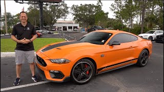 Is the Ford Mustang Mach 1 a BETTER performance car than a 2024 Mustang Dark Horse [upl. by Gusba180]