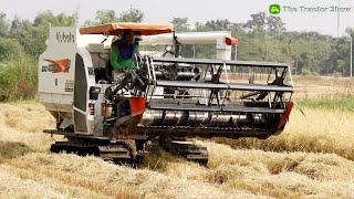 Super Kubota DC105X Rice Harvester Working Skills  Techniques Agricultural Machinery Processing [upl. by Hube80]