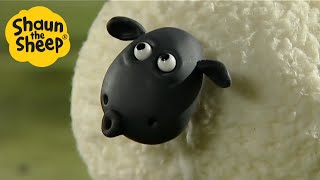 Shaun the Sheep 🐑 EPIC SHEEP  Cartoons for Kids 🐑 Full Episodes 🐑 Full Season 1 [upl. by Wachtel550]