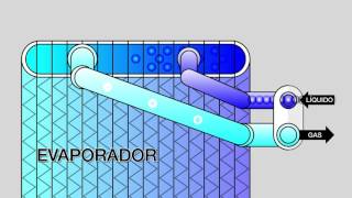 Función del Evaporador Animación 2D [upl. by Alliuqa606]