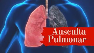 Ausculta Pulmonar  roncos sibilos estertores  ruídos adventícios [upl. by Lupita]