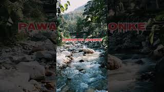 Panchhi nadiya pawan ke jhonke song by sonu nature reels himalayas travel reelitfeelit [upl. by Krein456]