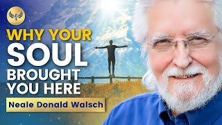 Why YOUR SOUL Brought You HERE  Your PURPOSE Is More OBVIOUS Than You Think  Neale Donald Walsch [upl. by Nnairet]