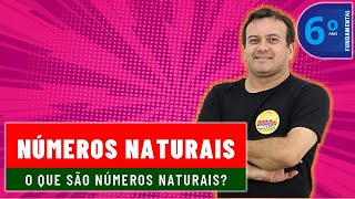 O QUE SÃO NÚMEROS NATURAIS [upl. by Hterag]