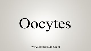 How To Say Oocytes [upl. by Tennies]