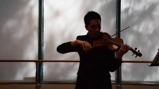 Mahler Symphony No 1 Movement I Violin Excerpt Reh 4 to 12 [upl. by Kaitlin920]