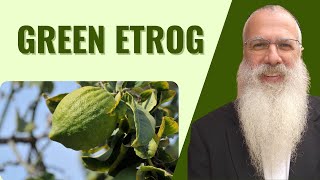 Mishnah Sukkah Chapter 3 Mishna 6 Green Etrog [upl. by Eloccin530]