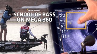 School of Bass on MEGA 360  BASS Elite Lake Fork with Palaniuk [upl. by Acir]