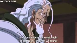 One Piece  Rayleigh Knows About the Void Century And World Government [upl. by Eemla]