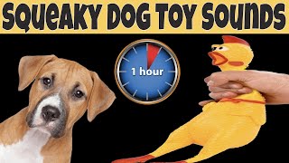 Squeaky Toy Dog Toy Sounds 1 Hour  DOG TOYS ONE HOUR [upl. by Joette]