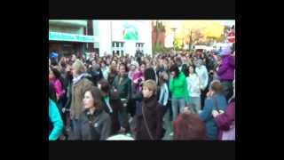 Flashmob in der Itzehoer Innenstadt [upl. by Notneuq]