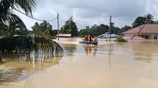 Banjir Pahang Mentakab kampg Batu Kapor Gajah mati kerosakan harta benda banjir pahang pray [upl. by Aenat480]