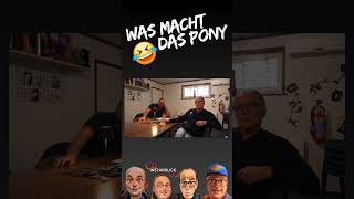 Ein gutes Pony macht was 🤣 ostfriesland wilkezierden [upl. by Ariom]