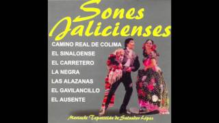 Mariachi Tepatitlan  Sones Jaliscienses Disco Completo [upl. by Crotty]