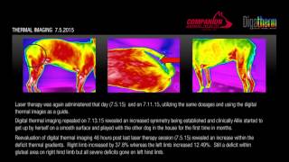 Allies Recovery with Laser amp Digital Thermal Imaging [upl. by Vig]