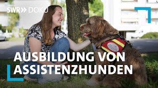 Zurück ins Leben  mein Hund als Helfer  SWR Doku [upl. by Aicyla]