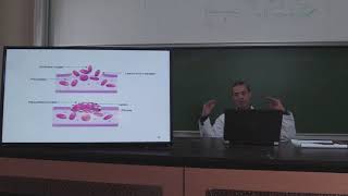 2ème annéeCours Hémostase 2  Coagulation  fibrinolyseVidéo 1partie 220192020 [upl. by Solis154]