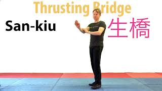 58 Sankiu Choy Li Fut Kung Fu Hand Technique [upl. by Tenaj]