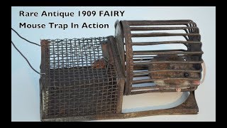 Rare Antique 1909 FAIRY Mouse Trap In Action  Complete With A Fun Exercise Wheel [upl. by Jun]