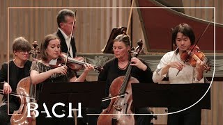 Bach  Concerto for two violins in D minor BWV 1043  Sato and Deans  Netherlands Bach Society [upl. by Llerrehs]