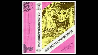 GALVANIZER  MORBIFIC  SPLIT 2023 [upl. by Stanfield]