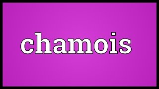 Chamois Meaning [upl. by Fillian474]