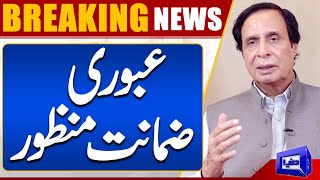 Good News For Parvaiz Elahi Interim bail Accepted By Anti Corruption Court  Dunya News [upl. by Lodovico954]