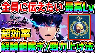 【俺だけレベルアップな件】経験値稼ぎ戦力上げ法！必ず強くなる『10選！』リセマラおすすめお金稼ぎゴールド稼ぎ強いスキルetc 全てを詰め込んだ解説！【 俺アラ 俺レべ arise ゲーム】 [upl. by Mcmurry]