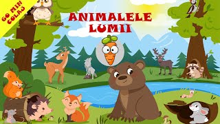 Animalele Lumii  60 Minute Colaj Cantece Pentru Copii [upl. by Aleron184]