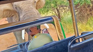 Elephant Picks up and Throws Truck full of Tourists [upl. by Janetta]