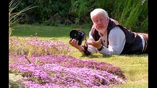 BELLES PLANTES ET FLEURS POUR UN TERRAIN SABLEUX ETE LE BORD DE MER [upl. by Mailand]