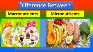 Difference between macronutrients and micronutrients [upl. by Felten]