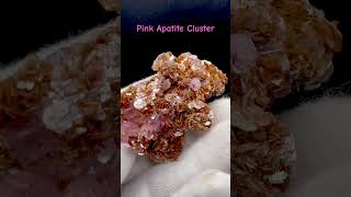 🌴Rare Pink Apatite Cluster 🌴 apatite crystals minerals mineralspecimens [upl. by Gunter]