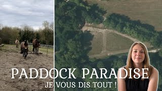 PADDOCK PARADISE  Budget  3 chevaux sur 8000m²  Visite  Retour dexpérience  Je vous dis tout [upl. by Romeo]