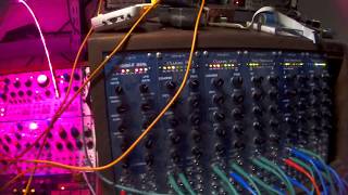 Wiard 300 Sequence  modular synth [upl. by Erdnoid]