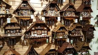 the Shop of a Thousand Cuckoo Clocks in Triberg Black Forest Germany [upl. by Pember]