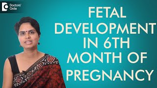 6th Month  Fetal development in sixth month of pregnancy Dr Shefali Tyagi [upl. by Vitia]