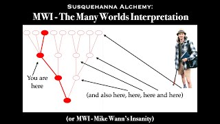 MWI The ManyWorlds Interpretation or Mike Wanns Insanity [upl. by Ingaborg]