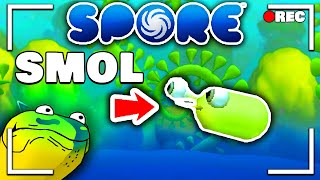 Spore The Evolution of the SMALLEST Species FULL STREAM [upl. by Xilef]