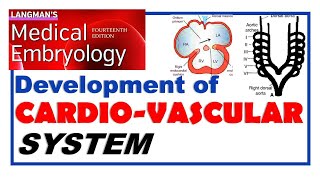 Langman Chapter13  Embryology of Cardiovascular System  Dr Asif Lectures [upl. by Georgeta]