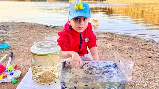 Ren Found 100s of Tadpoles By The Lake and Release Them [upl. by Noiwtna216]