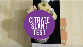 MicroLab  Citrate Slant Test [upl. by Simonetta]