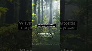 🌳🏢 Mikrolasy w polskich miastach Są wielkości boiska do koszykówki [upl. by Llenreb608]