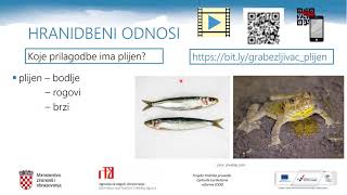 Biologija 8 r OŠ  Odnosi između jedinki različitih vrsta [upl. by Dusa104]